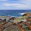 專業(yè)沖浪者Wade Carmichael在家鄉(xiāng)Avoca Beach的生活