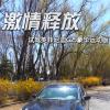 車評頭條：激情釋放 試駕英菲尼迪G25豪華運(yùn)動(dòng)版