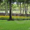 在倫敦墻的辦公大樓之間插入公共花園