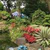 胡志明市的熱帶植物和幾何玻璃墻屏風房屋和餐廳