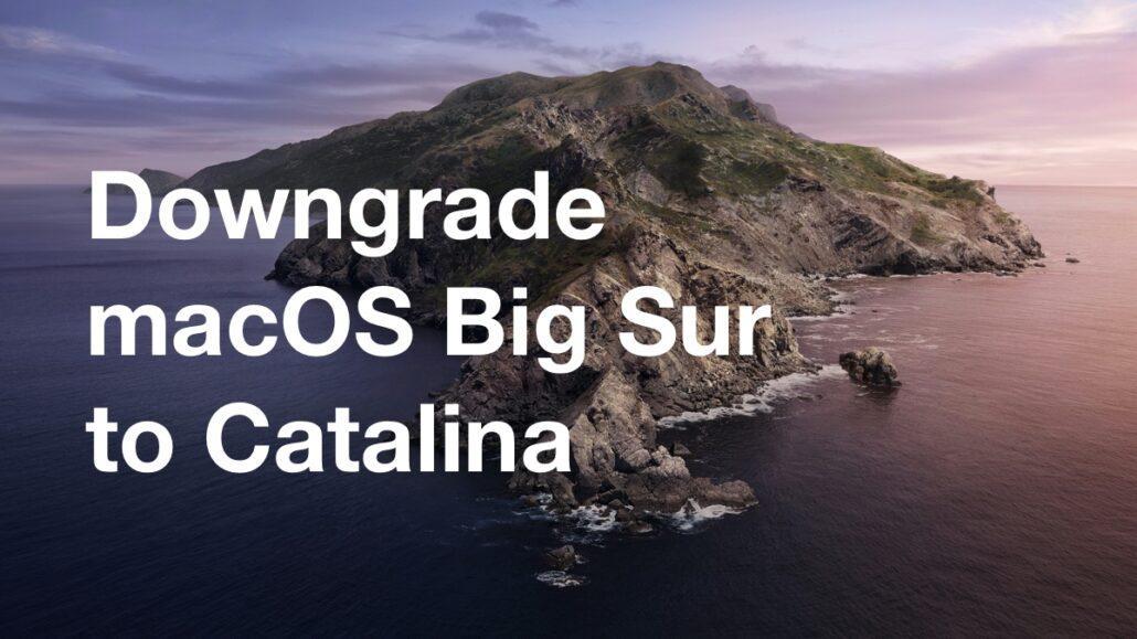 將macOS Big Sur Beta降級到macOS Catalina [操作方法]