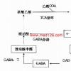 在ITG的48名受訪者中 約有33%的人表示他們用TCA來衡量經(jīng)紀人的表現(xiàn)