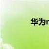華為nexus7（華為Nexus）