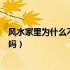 風(fēng)水家里為什么不可以放假花（小白求問風(fēng)水家中放假花好嗎）