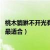 桃木貔貅不開光有功效嗎（小白求助桃木貔貅怎么開光 那天最適合）