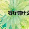 客廳鋪什么樣的磚好看（客廳鋪什么）