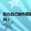 陽臺自己制作爬藤架子（自制陽臺爬藤架子怎么做 有人知道嗎）