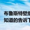 布魯斯特壁紙是幾線品牌（布魯斯特壁紙貴嗎知道的告訴下）
