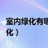 室內綠化有哪些種類（哪位說說什么是室內綠化）