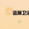 藍藤衛(wèi)浴怎么用（藍藤衛(wèi)浴如何）