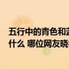 五行中的青色和藍(lán)色怎么區(qū)分（各位講一講藍(lán)色在五行中屬什么 哪位網(wǎng)友曉得）