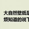 大自然壁紙是幾線品牌（大自然壁紙價格表麻煩知道的說下）