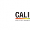 Calibre為心臟病和中風(fēng)研究籌集資金