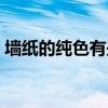 墻紙的純色有些什么（純色條紋墻紙是什么）