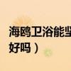 海鷗衛(wèi)浴能堅(jiān)持下去嗎（求大神解答海鷗衛(wèi)浴好嗎）