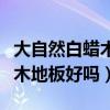 大自然白蠟?zāi)緦嵞镜匕搴脝幔ㄏ雴枂柊紫災(zāi)緦嵞镜匕搴脝幔? title=