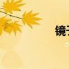 鏡子可以對著廁所門嗎