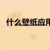什么壁紙應(yīng)用最好（哪位說說壁紙怎樣用）