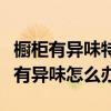 櫥柜有異味特別難聞怎么處理（我想問(wèn)櫥柜里有異味怎么辦）