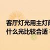 客廳燈光用主燈筒燈燈帶怎么選擇（客廳和臥室燈帶筒燈用什么光比較合適 有哪幾種）