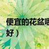 便宜的花盆哪個(gè)牌子好（請(qǐng)問(wèn)什么牌子的花盆好）