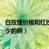白玫瑰價(jià)格和紅玫瑰一樣嗎（白玫瑰代表什么 一般價(jià)錢是多少的?。? title=