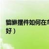 貔貅擺件如何在車?yán)镎_擺放（哪位知道什么樣的貔貅擺件好）
