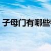 子母門有哪些特點(diǎn)（哪位知道什么子母門好）