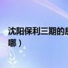 沈陽保利三期的房子怎么樣（哪位說說沈陽保利花園三期在哪）