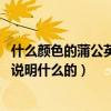 什么顏色的蒲公英花語叫做等待（蒲公英的花語是什么呢 是說明什么的）
