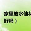 家里放水仙花可以嗎（我想知道室內(nèi)放水仙花好嗎）