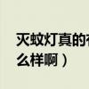 滅蚊燈真的有效果嗎（滅蚊燈有用嗎 效果怎么樣?。? title=