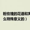 粉玫瑰的花語和寓意代表什么意思（粉玫瑰花語是什么 有什么特殊意義的）