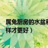 屬兔廚房的水盆和灶臺擺放位置（肖兔人廚房灶臺的方向怎樣才更好）