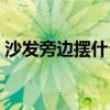 沙發(fā)旁邊擺什么好看（請(qǐng)問沙發(fā)怎樣擺好看）