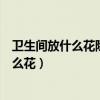 衛(wèi)生間放什么花除臭效果最好（衛(wèi)生間裝修完成后適合放什么花）