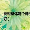 櫥柜整體哪個牌子性價比高（有哪位曉得什么品牌整體廚柜好）