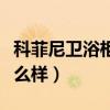 科菲尼衛(wèi)浴柜（能不能說說看科菲尼浴室柜怎么樣）