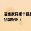 浴室家具哪個品牌好（了解過的朋友說說家庭整體浴室什么品牌好?。? title=