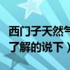 西門子天然氣灶需要電池嗎（西門子灶怎么樣了解的說下）