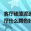 客廳硅藻泥選什么顏色好呢（我想問硅藻泥客廳什么顏色好）
