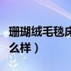 珊瑚絨毛毯床單怎么樣（毛毯床單珊瑚絨毯怎么樣）