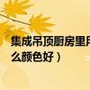 集成吊頂廚房里用哪種顏色好看（我想問(wèn)廚房集成吊頂用什么顏色好）