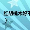 紅胡桃木好不好（誰可以說說紅胡桃木好不好）