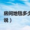 房間地毯多少錢（房間地毯什么價格誰可以說說）