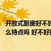 開放式廚房好不好 且看四大理由（弱弱問下開放式廚房有什么特點嗎 好不好的阿）