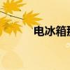 電冰箱那個(gè)質(zhì)量好誰能告訴下我