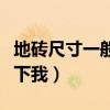 地磚尺寸一般多大（地磚一般是多大誰(shuí)能告訴下我）