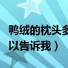 鴨絨的枕頭多少錢(qián)一對(duì)（鴨絨枕頭多少錢(qián)誰(shuí)可以告訴我）