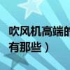 吹風機高端的都有哪些品牌（求解吹風機品牌有那些）